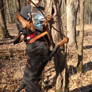 Meet your Posher, Nate